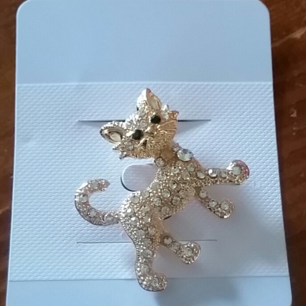 *3 for 25 * New Cat Pin